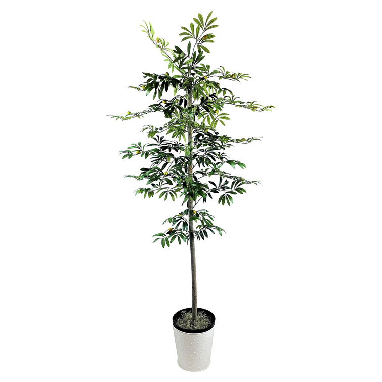 Primrue 72'' Faux Olive Tree Tree in Metal Pot Wayfair